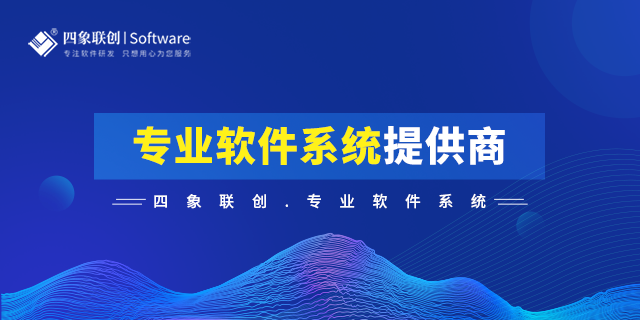 企业定制软件开发