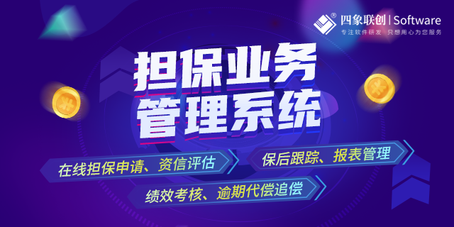担保业务信息化管理系统解决方案