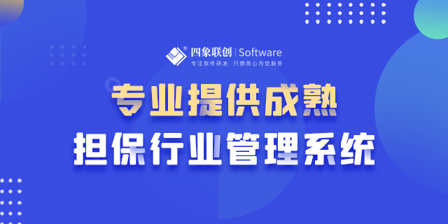 融资担保管理系统的作用