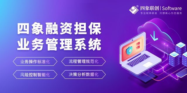 融资担保管理信息系统开发