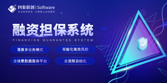 担保系统功能与应用场景分析